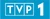 TVP1logo.jpg