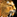 IconSmall Lion
