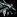 IconSmall Raven