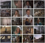 Th-The.Bionic.Woman.S03E01.DVDrip.XviD-SAiNTS