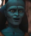 Nilim Bril.jpg