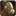 Inv mace 100