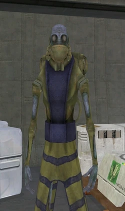 Vansic.jpg