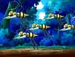 EP475 Enjambre de Beedrill