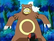 EP475 Ursaring