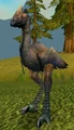 Plainstrider.jpg