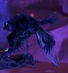 Male Kaliri Hatchling