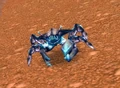 Corrupted Surf Crawler.jpg