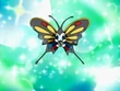EP480 Beautifly