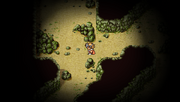 Giant's Cave