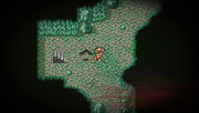Marsh Cave