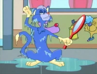 WetCat