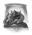 Nagini voldemort.jpg