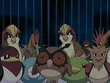 EP482 Pokémon voladores capturados
