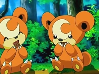 EP497 Teddiursa