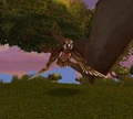 Windroc.jpg