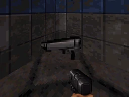 Pistol