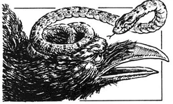 Korvusskurr.jpg