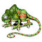 Chamelemon b.jpg
