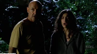 Locke alex