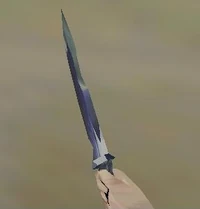 Combat Knife