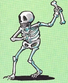 C1 Skeleton