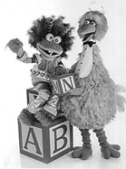 Teeheebigbird