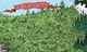 Twilightwoods.jpg