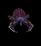 Scarab