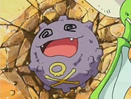 EP519 Koffing derrotado