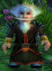 Doomsayer'sRobe