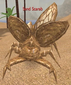 Sand Scarab