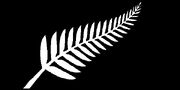 NZ fern flag