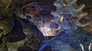Goingtoactivatehalo.JPG