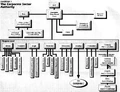 CSAOrgChart.jpg