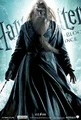 HBP Main Character Banner Albus Dumbledore.jpg