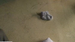 Babybootie