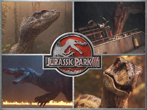 JP3-DesktopBackgrounds3
