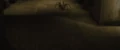 Youngaragog.JPG