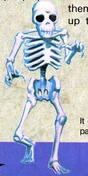NP C3 Skeleton