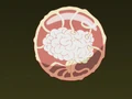 Brain Ball
