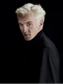Draco HBP.jpg