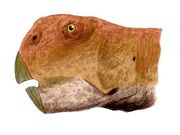 Psittacosaurus neimongoliensis BW