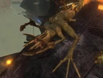 Flood Stalker