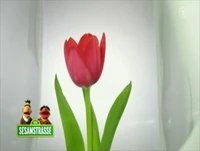 Folge2476-10