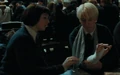 PansyAndDraco.jpg
