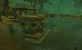 Kunzar Jungle.jpg