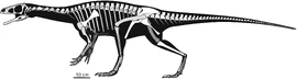 Panphagia