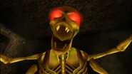 DXC Bone Golem