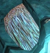 Scarab Lekgolo2